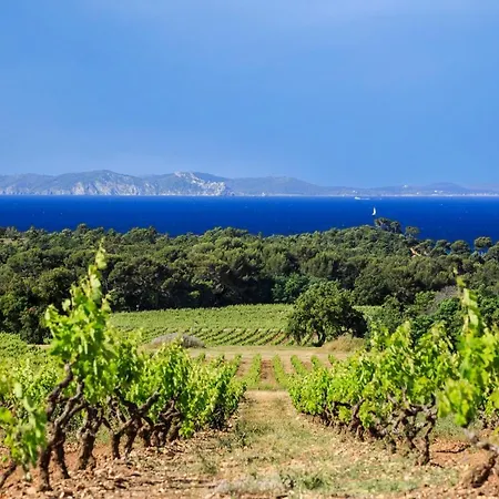 Les Rives De La Favière Piscine Et Tennis Les Pieds Dans L'eau *